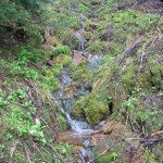 A mountain spring of your own