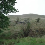 Buy Montana Land
