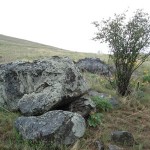 Buy Montana Land