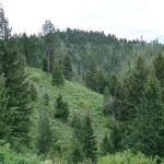 Buy Land