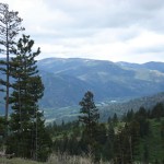 Montana Land
