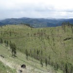 Montana