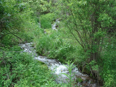 Creek