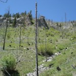 granite county property