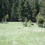 Deer Lodge property SK2 Deer Lodge property SK2