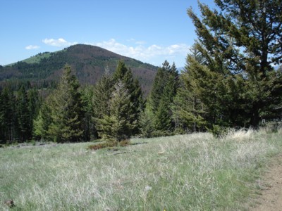 Deer Lodge land SK1 Deer Lodge land SK1