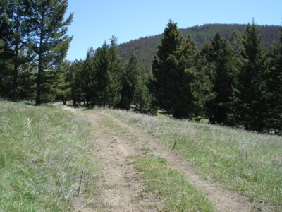 Deer Lodge property SK1 Deer Lodge property SK1