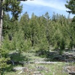 Deer Lodge land AJ1 Deer Lodge land AJ1