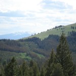 view at Deer Lodge