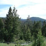 Deer Lodge property GB2