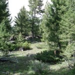 Deer Lodge property AJ1 Deer Lodge property AJ1