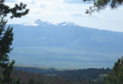 views from deer lodge property