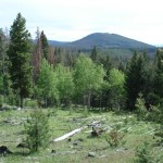 Deer Lodge property GB1