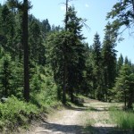 missoula property missoula property