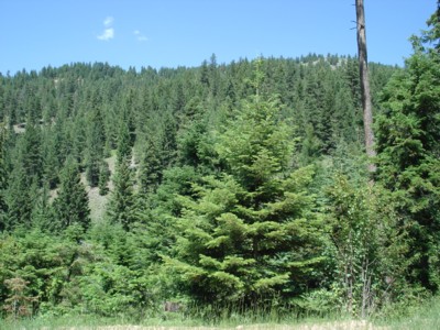 missoula county property missoula county property