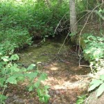 creek on Missoula land creek on Missoula land