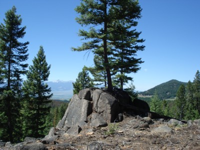 views from a cabin site at deer lodge