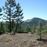 Deer Lodge property AJ2 Deer Lodge property AJ2