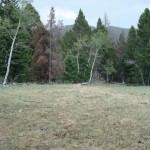 Land at Deer Lodge 9 Land at Deer Lodge 9