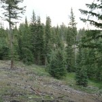 land at Deer Lodge 14 land at Deer Lodge 14