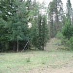 land at Deer Lodge 12 land at Deer Lodge 12