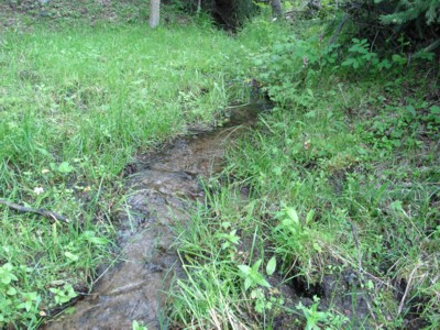 creek at Deer Lodge creek at Deer Lodge