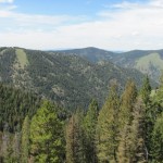 More views from the property