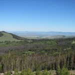 cabinsite views