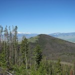 land