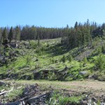 land in montana