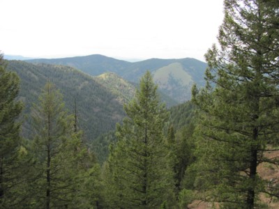 View from the property