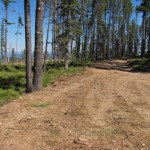 1129 sized The cabin site