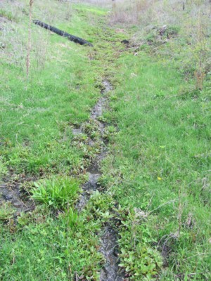 Montana Spring Water on the Property