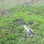Water bubbling out of the ground