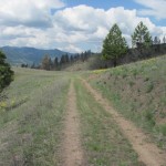 Access roads are in place