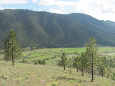 Views of the Clark Fork River and Valley