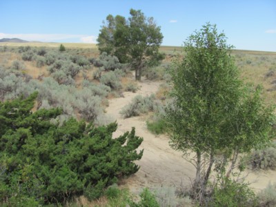 Ruby Creek