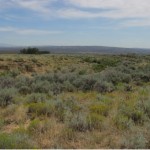 Montana land