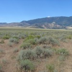 property and views