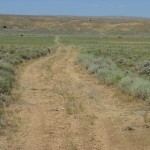 Access Road