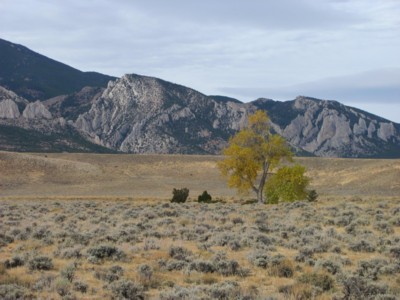 Views of the Absarokee Beartooth Mountains