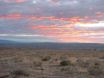 sunset on the property