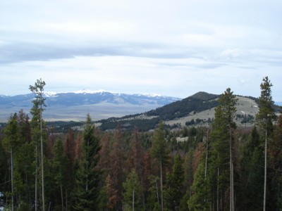 Deer Lodge view IN Deer Lodge view IN