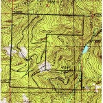 Topo