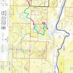 Easement