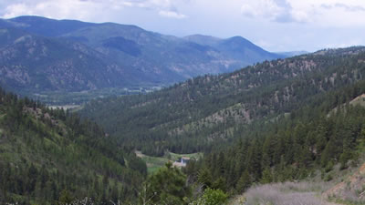 Montana View