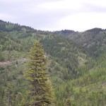 Sec 20