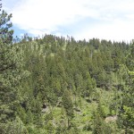 wallace-sec-19-5 Montana