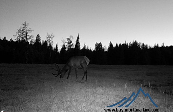 acreage for sale, acreage for sale by owner, acreage for sale in montana, acreage in montana, buy land, buy land in montana, buy land montana, buy montana land, cheap land, cheap land for sale, cheap land for sale in montana, cheap land montana, cheap montana land, cheap off grid land, cheap off grid land for sale, for sale by owner, forsalebyowner, forsalebyowner montana, fsbo, fsbo montana, fsbo real estate, horse property for sale, horse property for sale in montana, hunting land for sale by owner, hunting land for sale in montana, hunting property for sale, hunting property for sale in montana, land for sale by owner, land for sale in Montana, land for sale Montana, land in Montana, lands for sale, landwatch, landwatch montana, montana acreages for sale, montana hunting land for sale, montana land, montana land for sale, montana land for sale by owner, montana mountain land for sale, montana property, Montana property for sale, montana real estate, mountain land for sale, mountain land for sale in montana, mountain properties for sale, mountain property for sale, mountain real estate, off grid land, off grid land for sale, off grid property for sale, off grid real estate, off the grid, property, property for sale by owner, property for sale by owner in montana, property for sale in Montana, property for sale montana, property in Montana, remote properties, remote property for sale, western montana land for sale