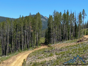 acreage for sale, acreage for sale by owner, acreage for sale in montana, acreage in montana, buy land, buy land in montana, buy land montana, buy montana land, cheap land, cheap land for sale, cheap land for sale in montana, cheap land montana, cheap montana land, cheap off grid land, cheap off grid land for sale, for sale by owner, forsalebyowner, forsalebyowner montana, fsbo, fsbo montana, fsbo real estate, horse property for sale, horse property for sale in montana, hunting land for sale by owner, hunting land for sale in montana, hunting property for sale, hunting property for sale in montana, land for sale by owner, land for sale in Montana, land for sale Montana, land in Montana, lands for sale, landwatch, landwatch montana, montana acreages for sale, montana hunting land for sale, montana land, montana land for sale, montana land for sale by owner, montana mountain land for sale, montana property, Montana property for sale, montana real estate, mountain land for sale, mountain land for sale in montana, mountain properties for sale, mountain property for sale, mountain real estate, off grid land, off grid land for sale, off grid property for sale, off grid real estate, off the grid, property, property for sale by owner, property for sale by owner in montana, property for sale in Montana, property for sale montana, property in Montana, remote properties, remote property for sale, western montana land for sale